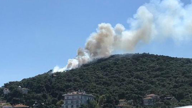 Heybeliada'da Yangın Kontrol Altına Alındı - Resim: 1