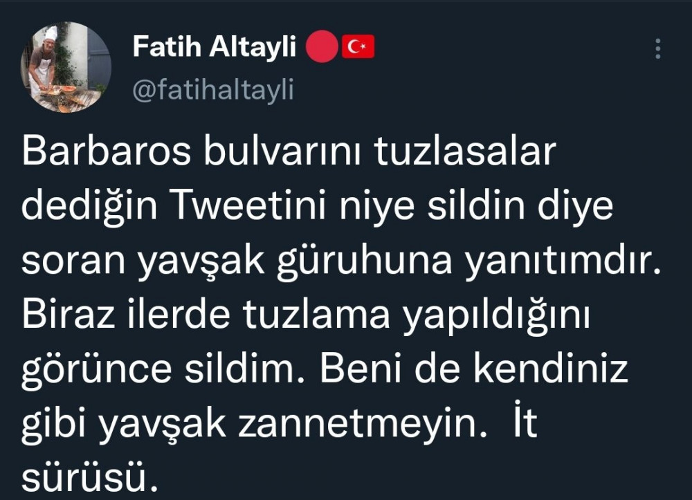 Fatih Altaylı Sildiği Tweeti Soran Takipçilerine Yavşak, İt Sürüsü Dedi - Resim: 4