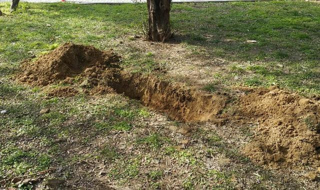Üçlü İlişkide Cinsel Organı Kesilerek Öldürülmüştü: Flaş Detay Ortaya Çıktı - Resim: 3