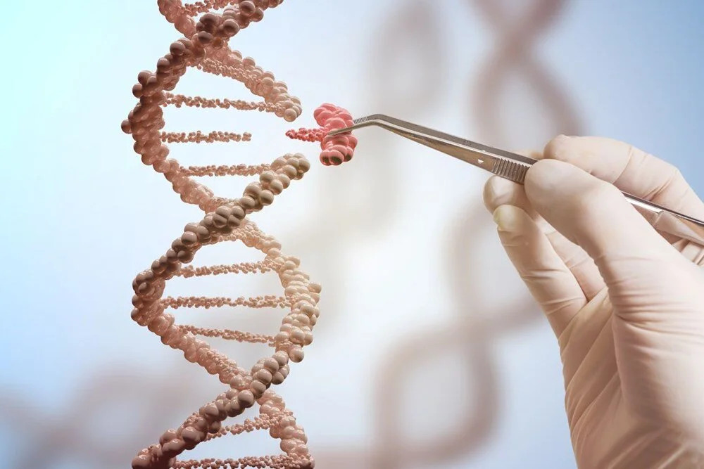 BİLİM DÜNYASINDA BİR İLK: Tam İnsan Genomunu Sıraladı - Resim: 3