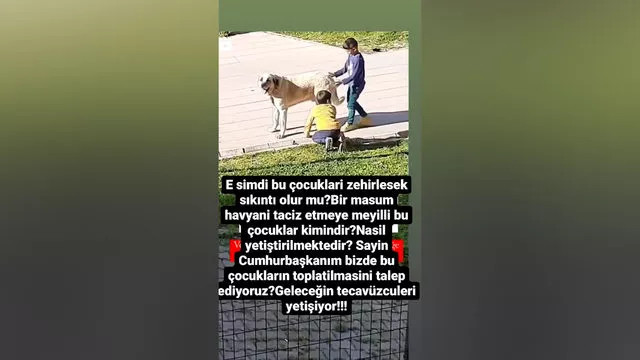 Deniz Akkaya Ateş Püskürdü Erdoğan'a Seslendi - Resim: 2