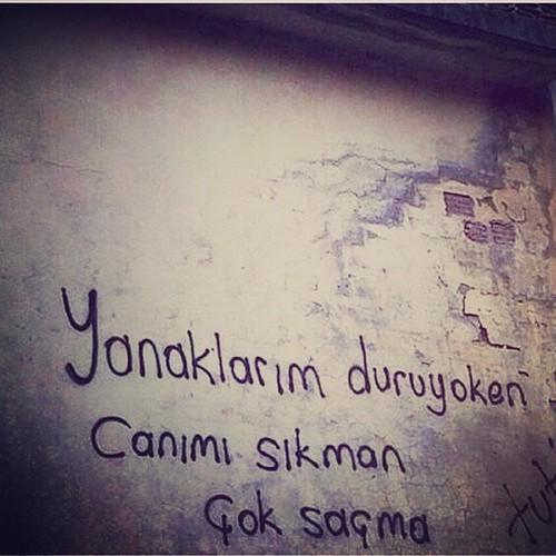 Gezi'nin efsaneleşmiş duvar yazıları - Resim: 4